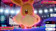 Image result for gigantamax eevee